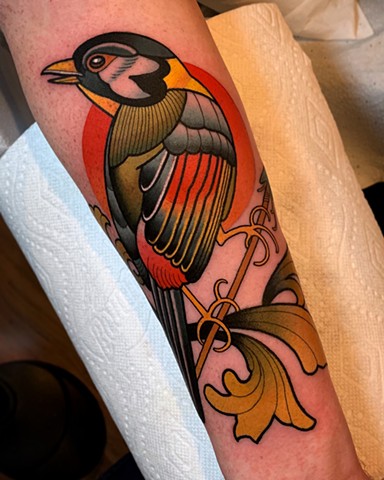 silver eared mesia tattoo by dave wah at stay humble tattoo company in baltimore maryland the best tattoo shop and artist in baltimore maryland