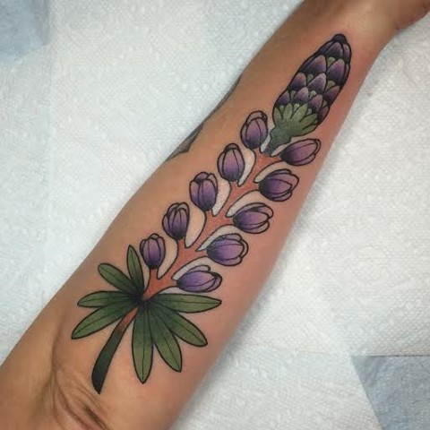 Lupine Flower done by Fran Massino