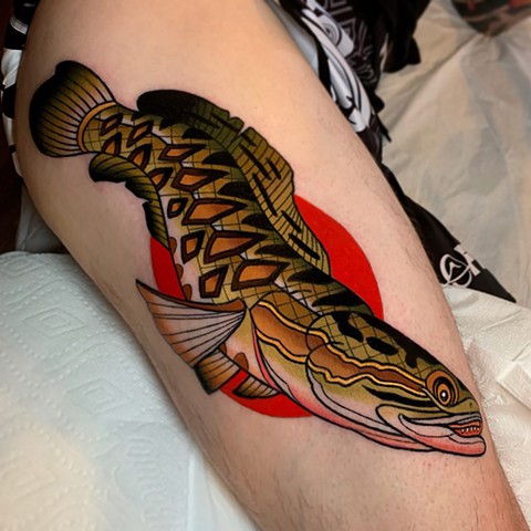 northern snakehead tattoo by tattoo artist dave wah at stay humble tattoo company in baltimore maryland the best tattoo shop in baltimore maryland