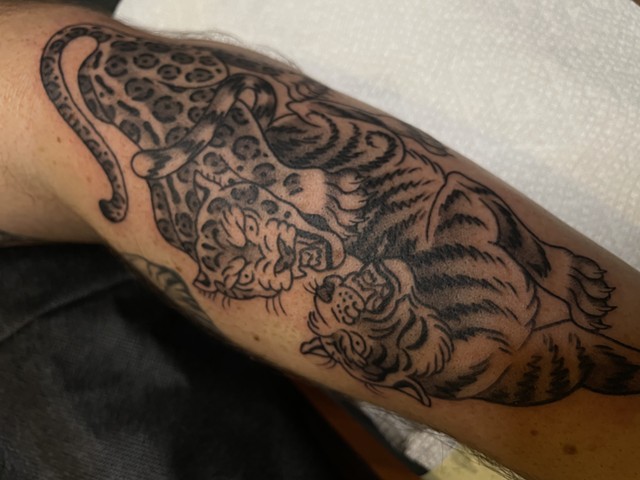 Jaguar vs tiger tattoo by Alecia Thomasson