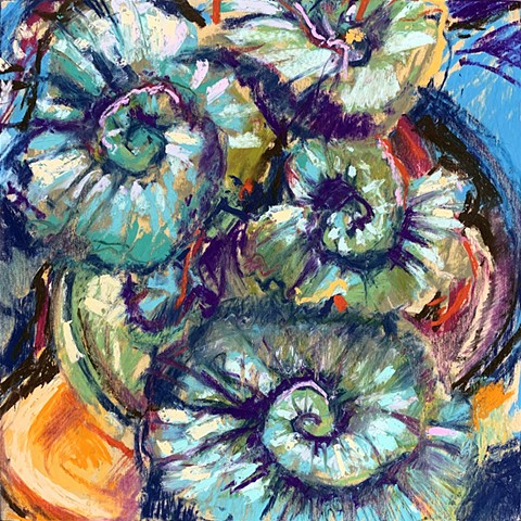 Spiral Begonia Strata