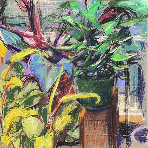 Pretty Little to the Side