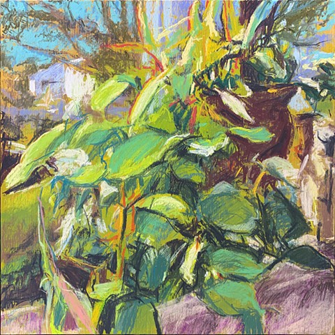 Window Vista 2 - Hoya