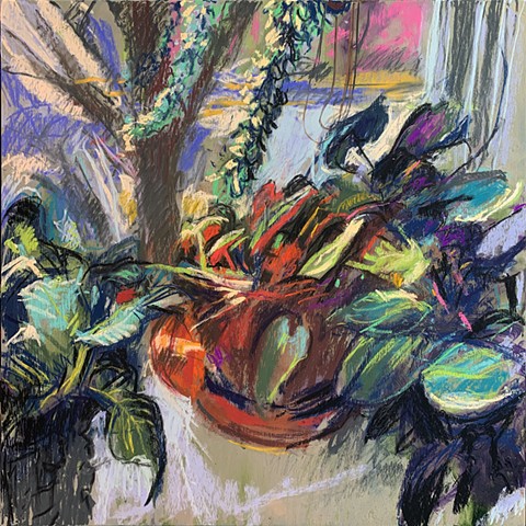 Window Vista 1 - Micans