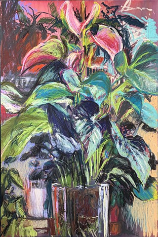 Tall Anthurium