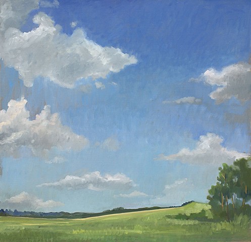 Illinois Landscape (5) (sold)