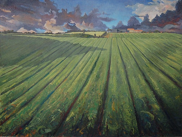 Illinois Landscape (8) (sold)