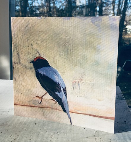 Cards, Stationary, Art, Birds