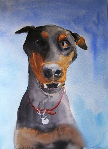 RED Bluff Gallery - "Cats and Dogs