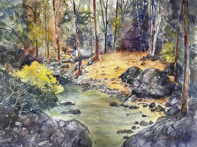 Forest stream