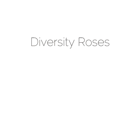 Diversity Roses
Order and Titles of Roses:
Blush B&W
Blush Sepia & White
Diversity Blush Two
Diversity Blush Yellow
Diversity Blush One