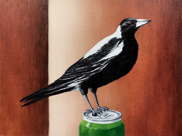  Magpie And Beer Can