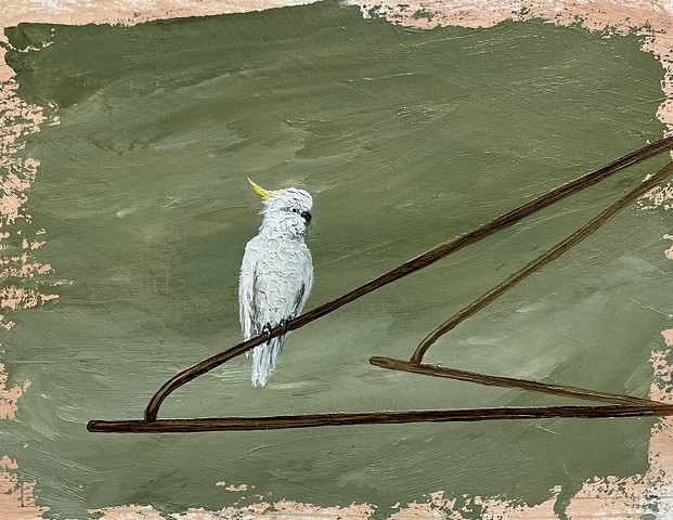 Bird On A Line (Cockatoo)