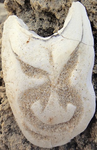julie hylands cuttlefish carving ocean art