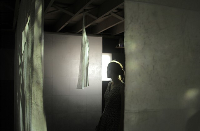 installation with video projection on waxed paper and mesh, of leaves, shadows