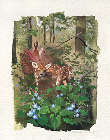 Fawn