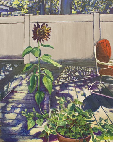 black sunflower august