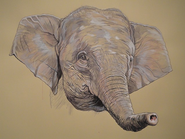 Borneo Pygmy Elephant (from the Apologies to the Future series)