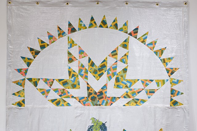 Detail Whig Star Plant Index