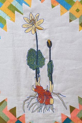 Detail Whig Star Plant Index