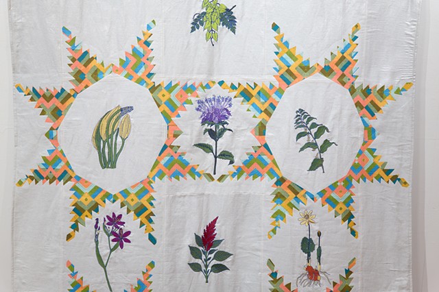 Detail Whig Star Plant Index