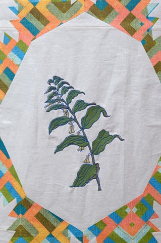 Detail Whig Star Plant Index