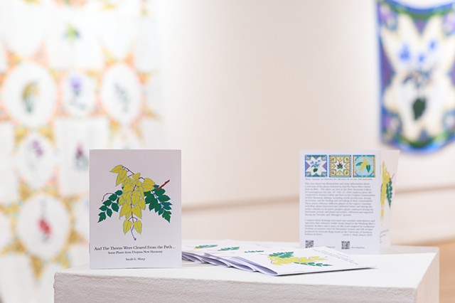 Some Plants from Utopian New Harmony