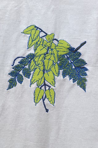 Detail Whig Star Plant Index