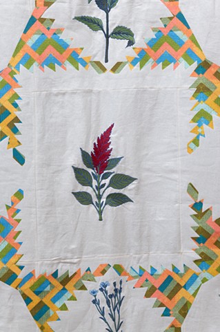 Detail Whig Star Plant Index