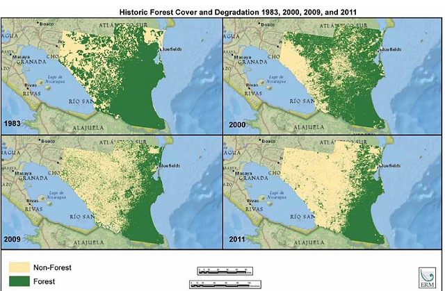 Deforestation since 1983