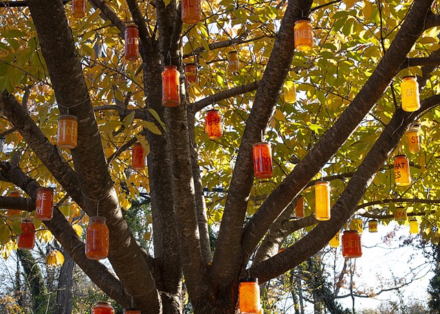 Tree of Illuminations