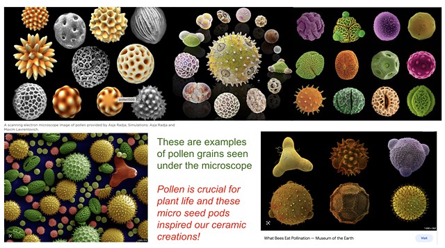Pollen Examples Under Microscope