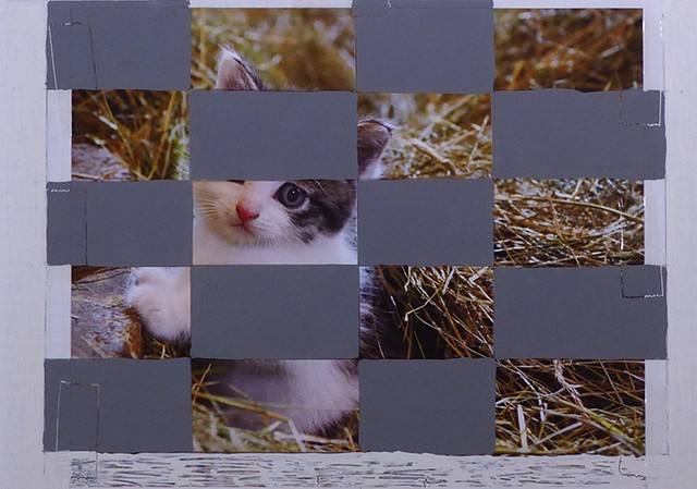 kitten grid