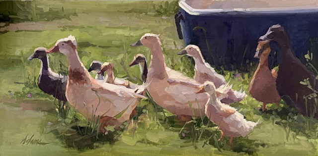 Animals