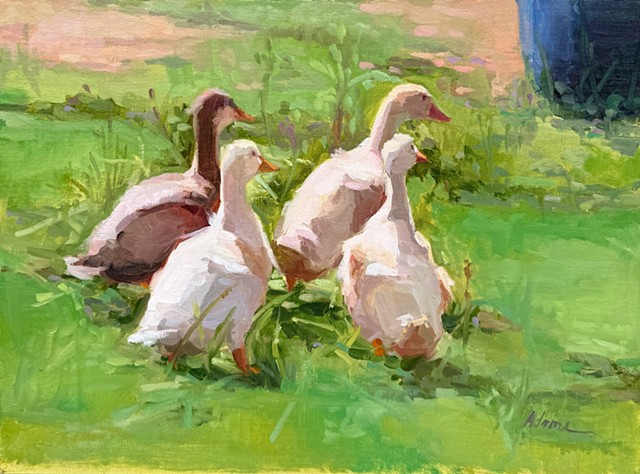 Ducklings Stick Together