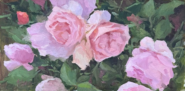 Object of My Affection