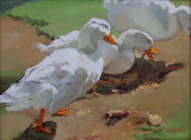 Kristine's Ducks