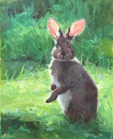 Soft and Still in Resplendent Light