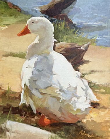 Sunshine Waddle