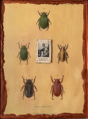 Encaustic Collage of antique prints by Flora Calabrese