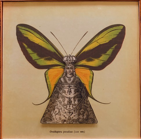 Encaustic Collage of antique prints by Flora Calabrese