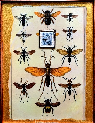 Encaustic Collage of antique prints by Flora Calabrese