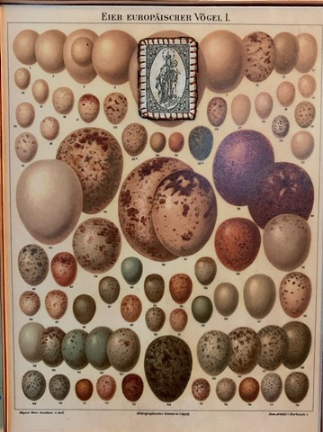 Encaustic Collage of antique prints by Flora Calabrese