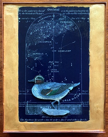 Encaustic Collage of antique prints by Flora Calabrese