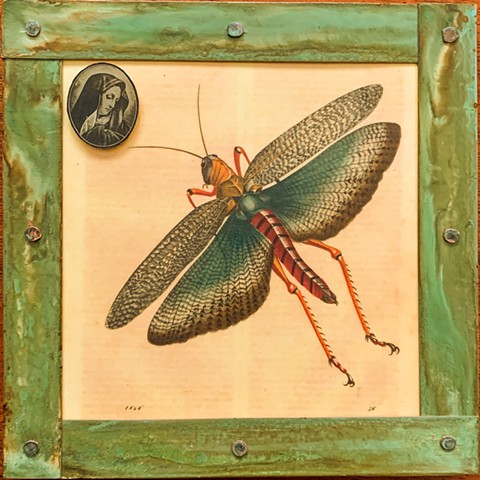 Encaustic Collage of antique prints by Flora Calabrese