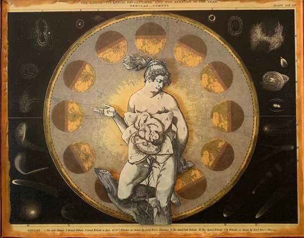 Encaustic Collage of antique prints by Flora Calabrese
