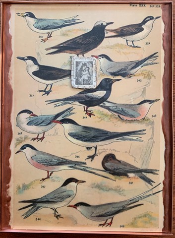 Encaustic Collage of antique prints by Flora Calabrese