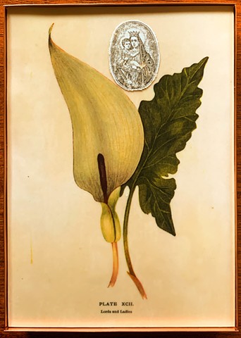 Encaustic Collage of antique prints by Flora Calabrese
