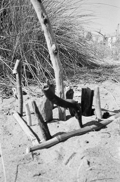 Nature: Nurture, Alameda Beach, CA