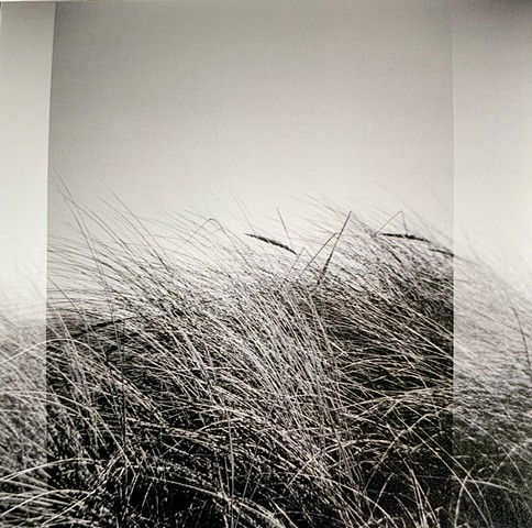 Nature: Nurture, B+W Film, 10 print run